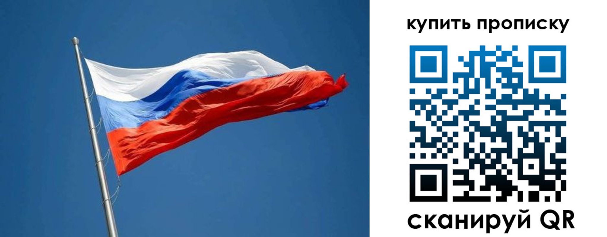 временная регистрация надежно в Димитровграде